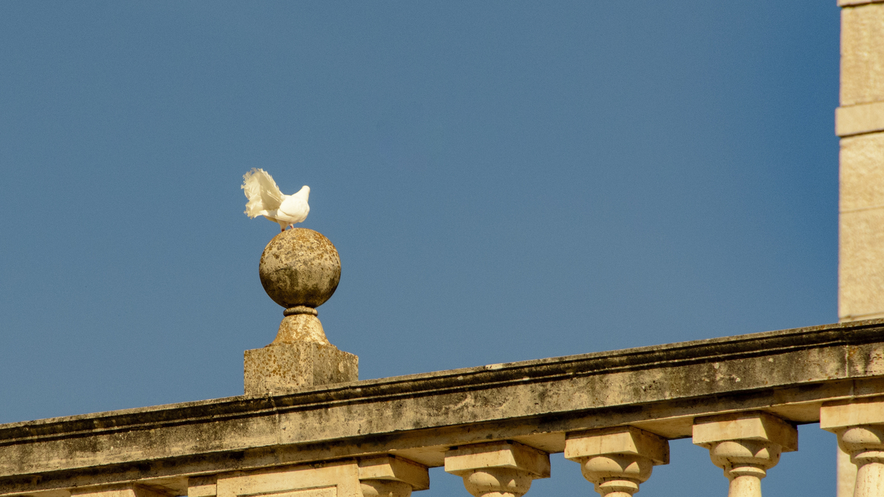 20150831-095739••Cassino•Lazio•Italy