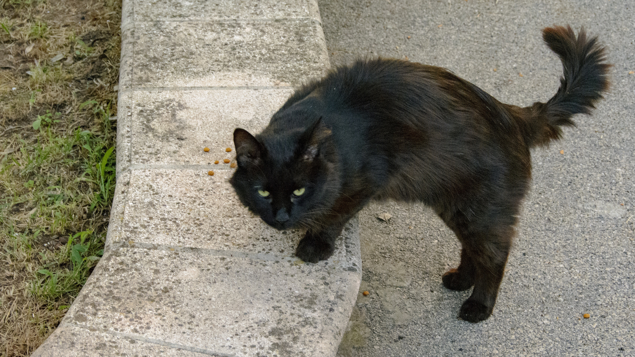 20150831-192036••••