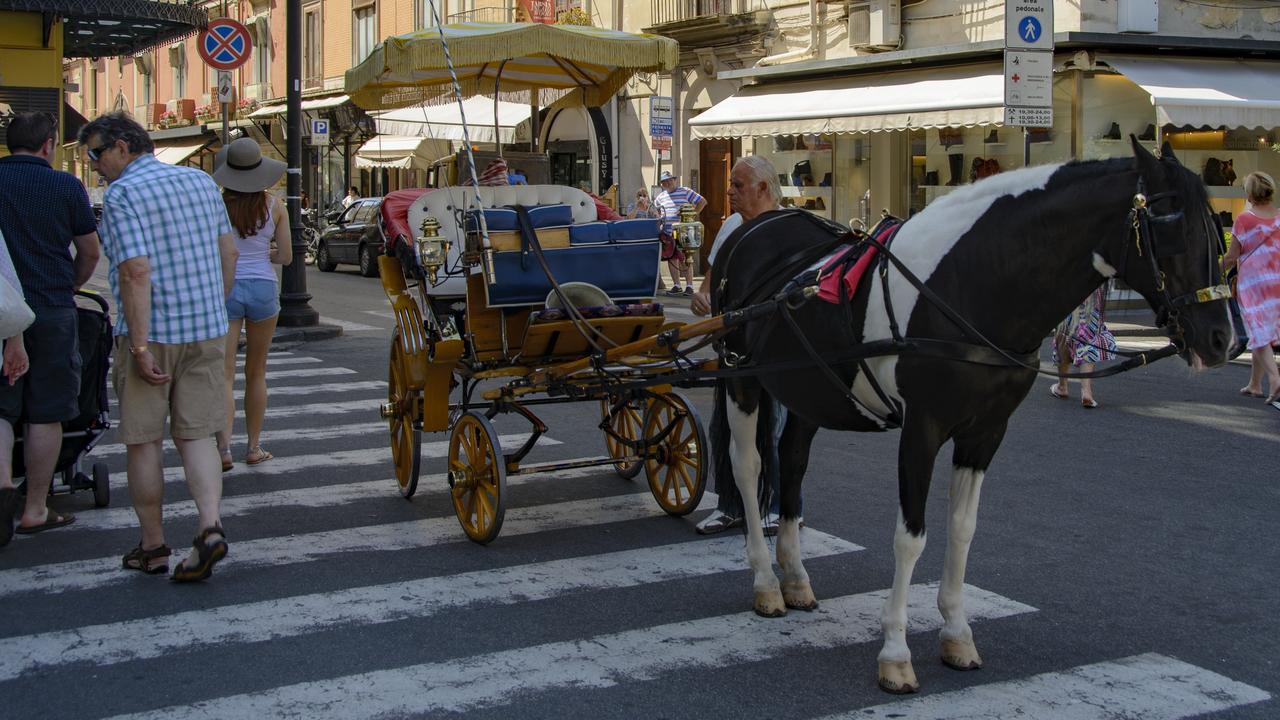 20150902-144449••Sorrento•Campania•Italy