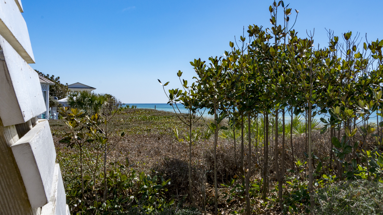 20160218-113352••Seaside•Florida•USA