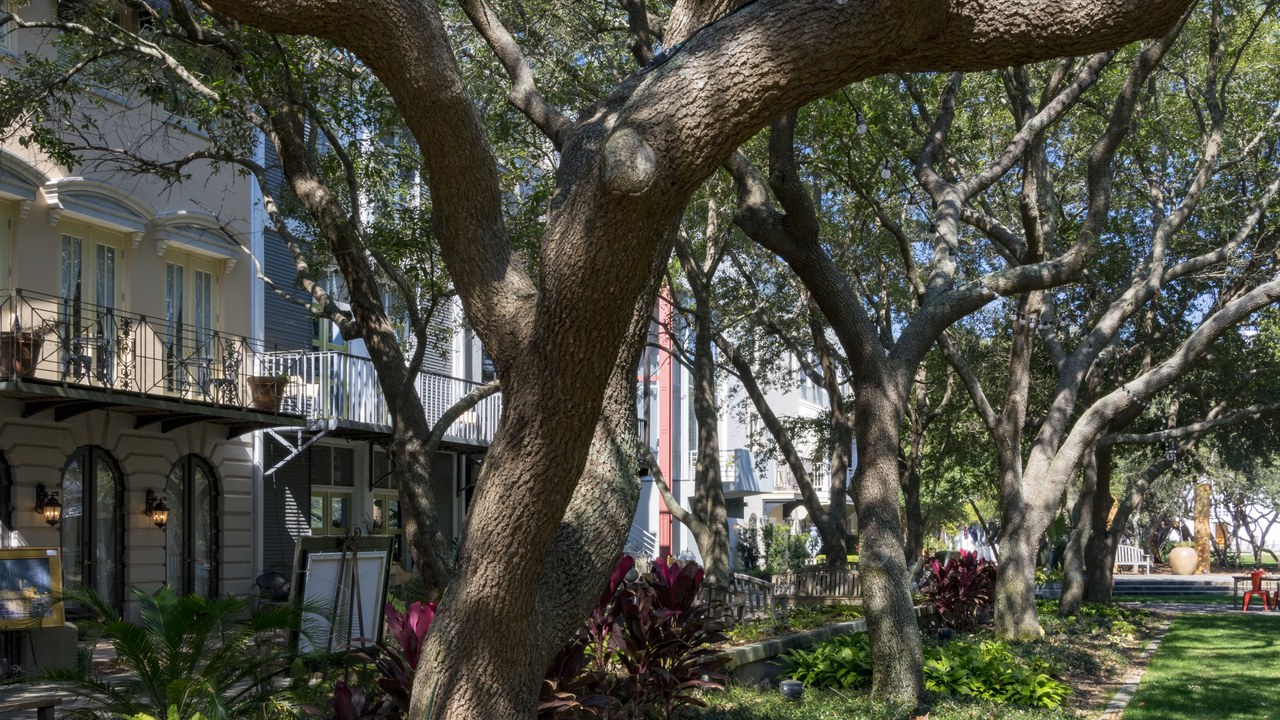20160218-122440••Seaside•Florida•USA