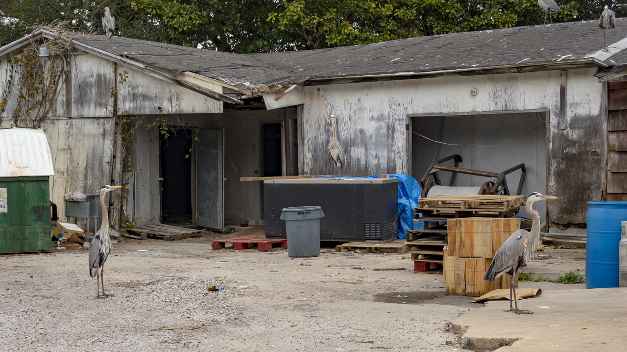 20160222-105135••Destin•Florida•USA