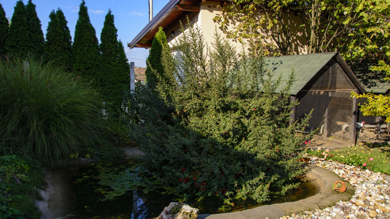 20151016-095600••Dalj•Osjecko-Baranjska•Croatia