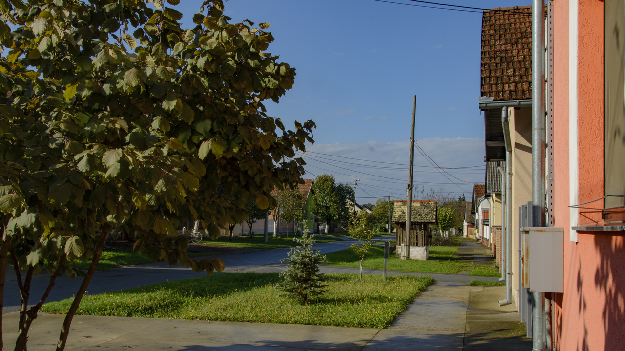 20151016-100156••Dalj•Osjecko-Baranjska•Croatia