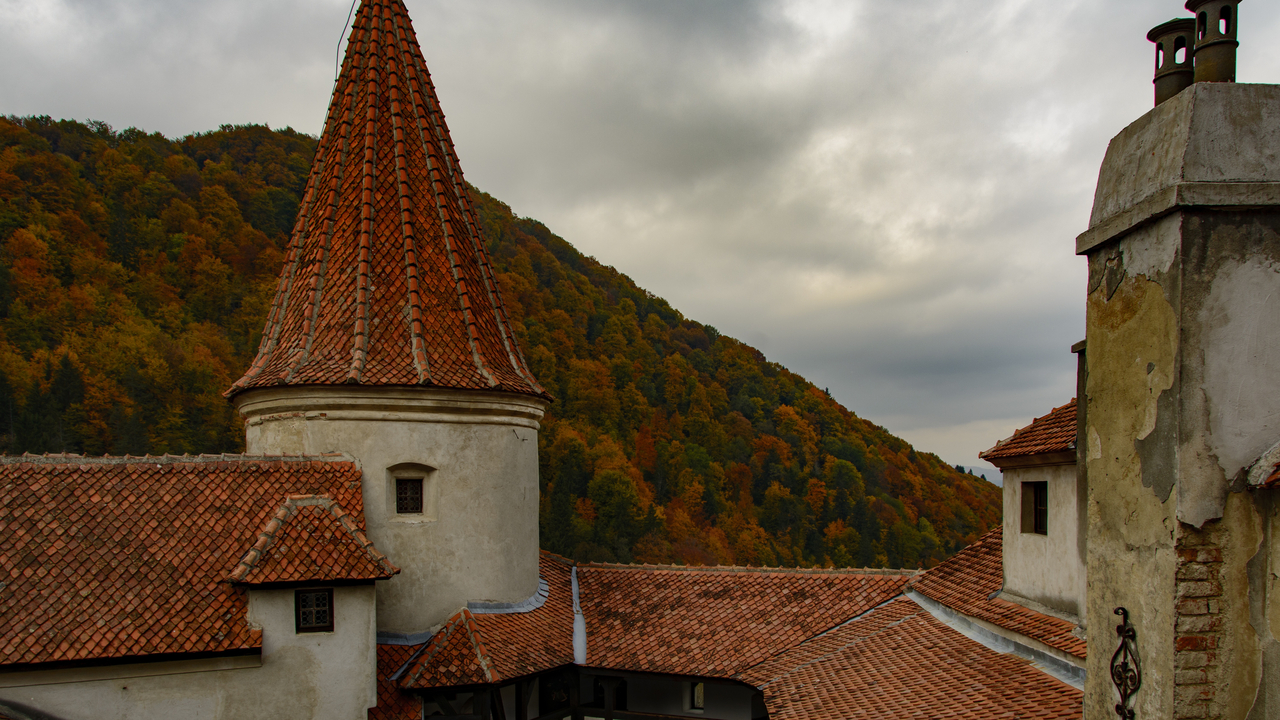 20151022-132117••Bran•Brasov•Romania