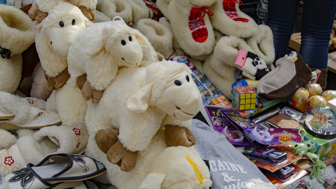 20151022-142237••Bran•Brasov•Romania