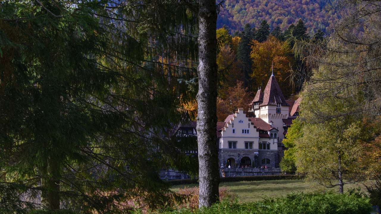 20151023-115149••Sinaia•Prahova•Romania
