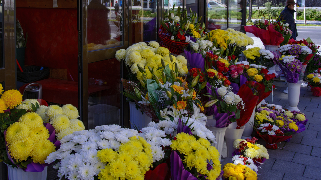 20151023-125342••Sinaia•Prahova•Romania