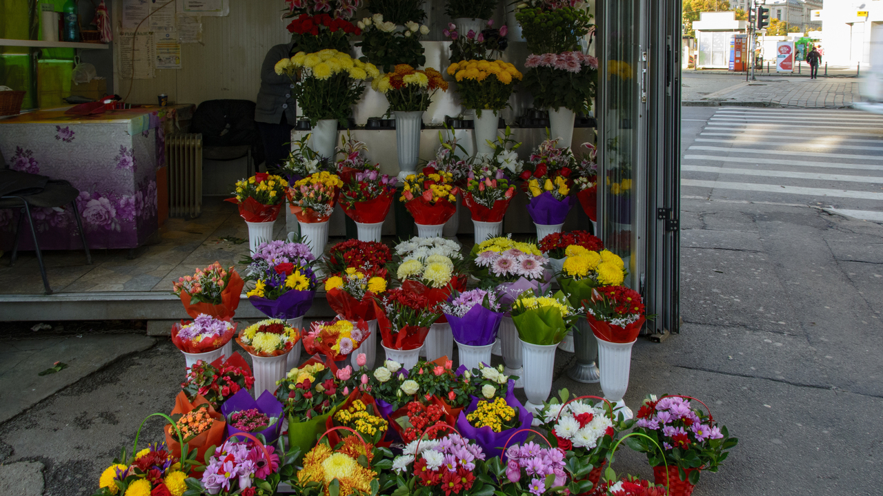 20151024-101759••Bucharest•Bucuresti•Romania