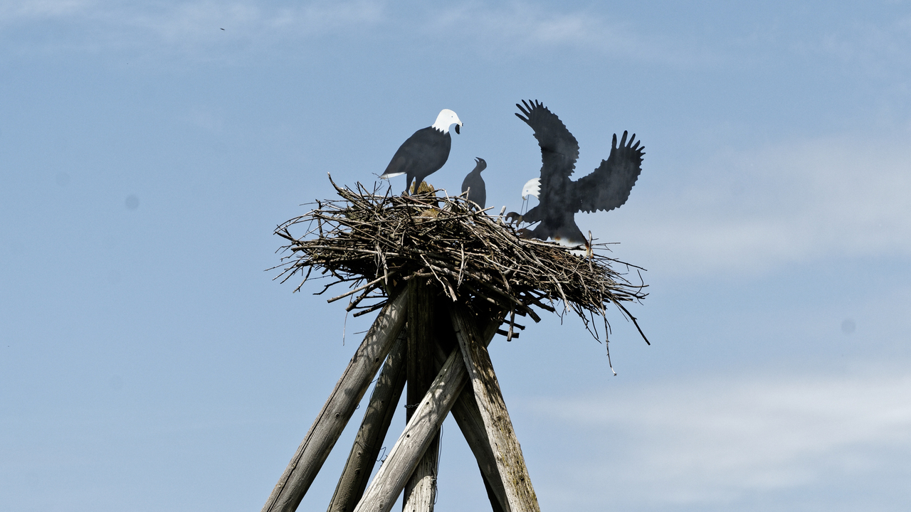 20190731-144643••Mankato•Minnesota•USA