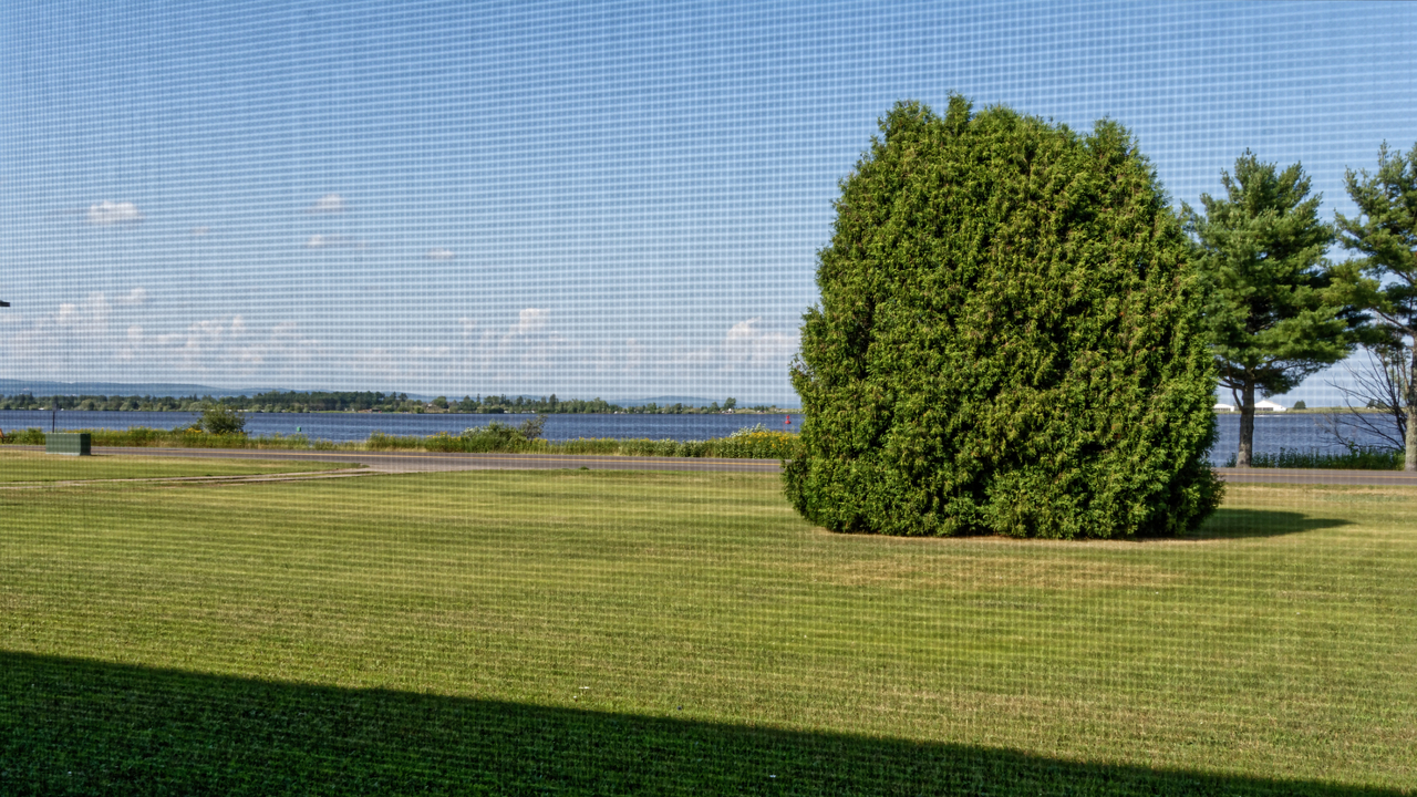 20190804-162300••Superior•Wisconsin•USA