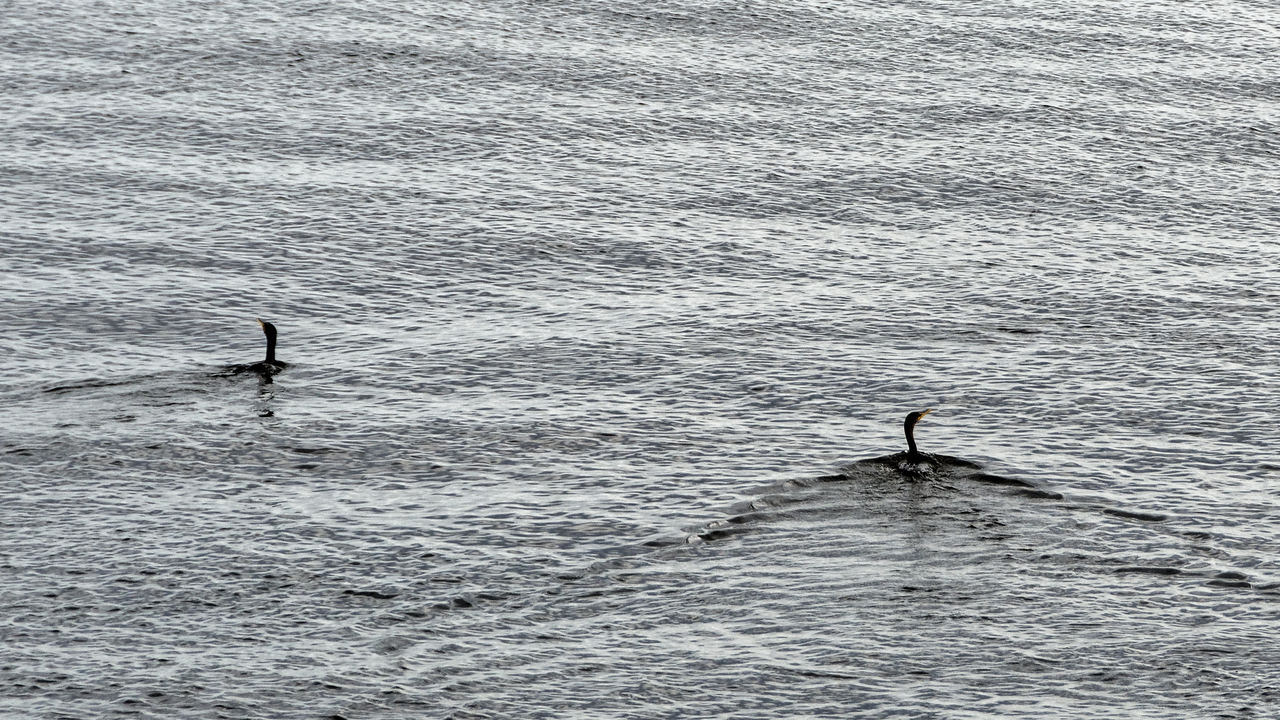 20190805-123258••Duluth•Minnesota•USA
