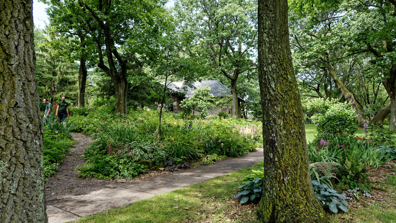 20190805-144116••Duluth•Minnesota•USA