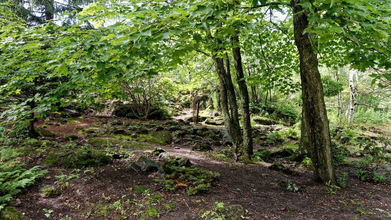 20190805-144246••Duluth•Minnesota•USA