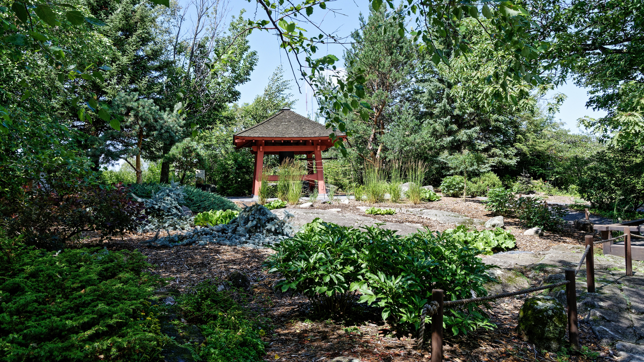 20190805-145239••Duluth•Minnesota•USA