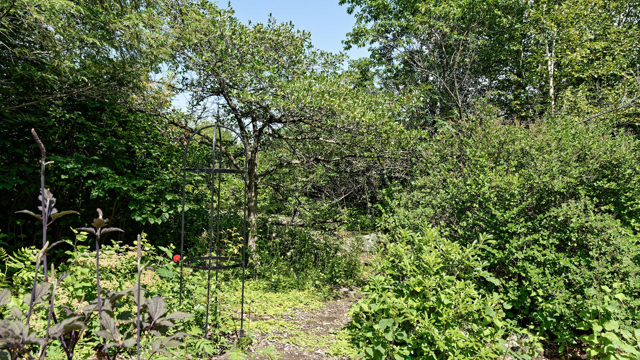 20190805-145632••Duluth•Minnesota•USA