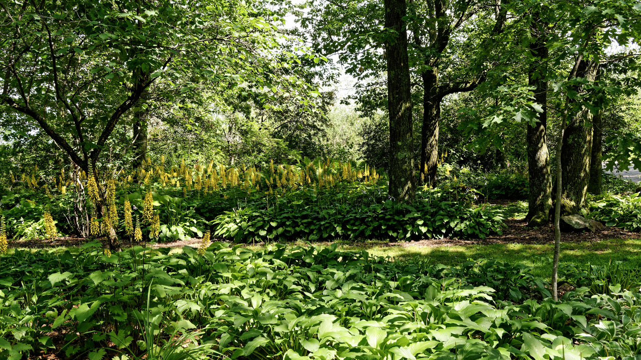 20190805-145826••Duluth•Minnesota•USA