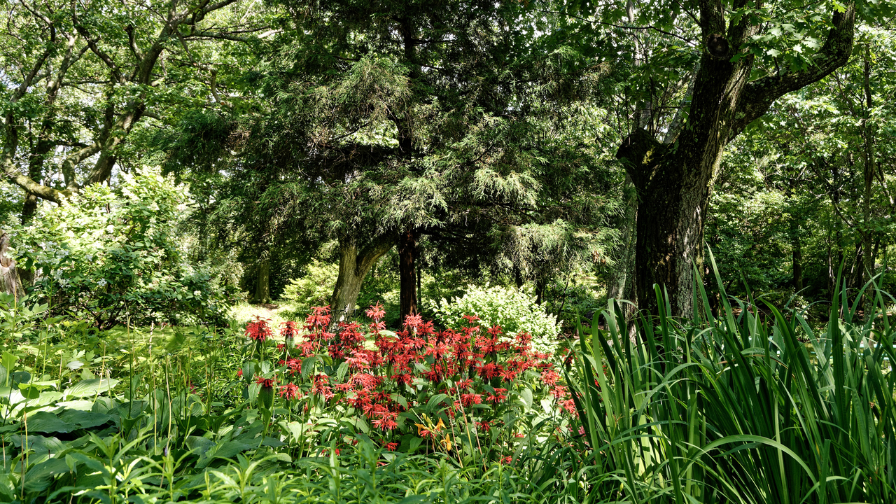 20190805-145952••Duluth•Minnesota•USA