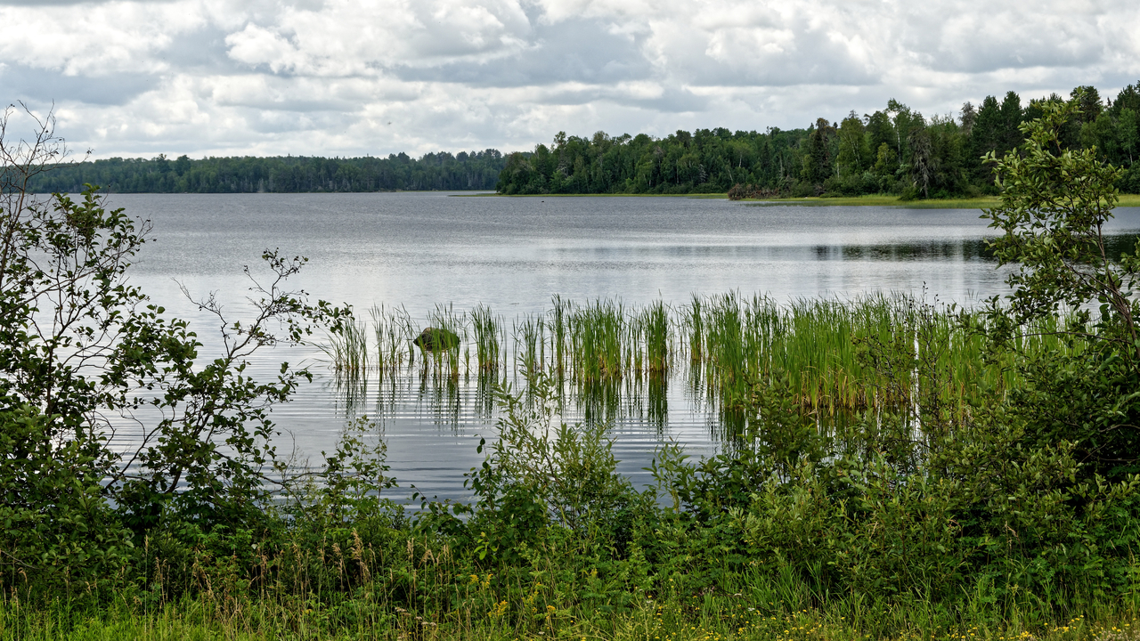 20190807-111738••Ely•Minnesota•USA