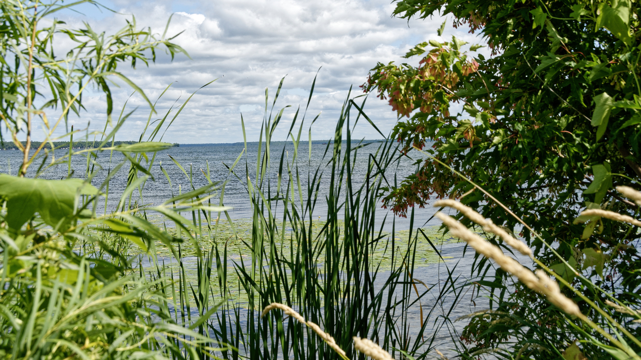 20190808-123743••Bemidji•Minnesota•USAA