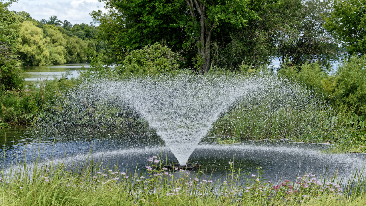 20190808-131252••Bemidji•Minnesota•USA