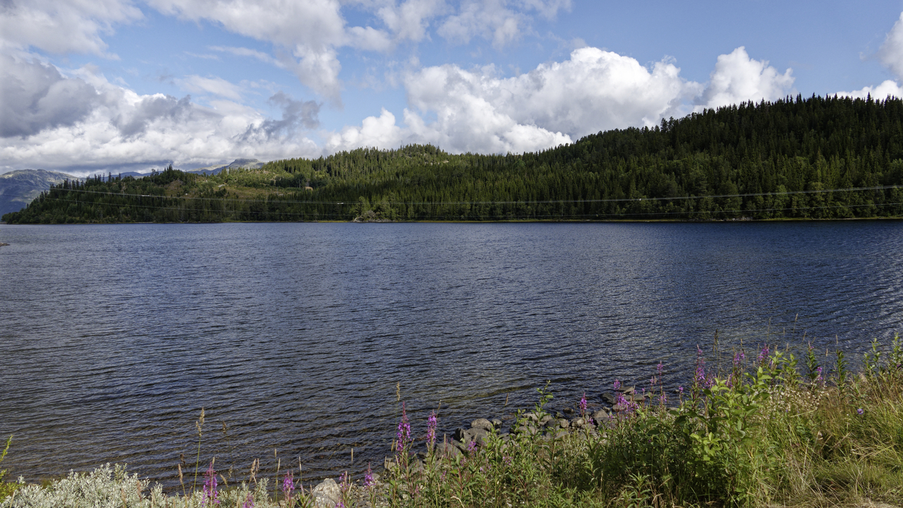 20260818•102648•••Amot•Telemark•NO