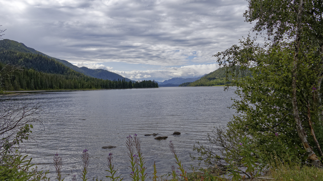 20260818•155357•••Amot•Telemark•NO