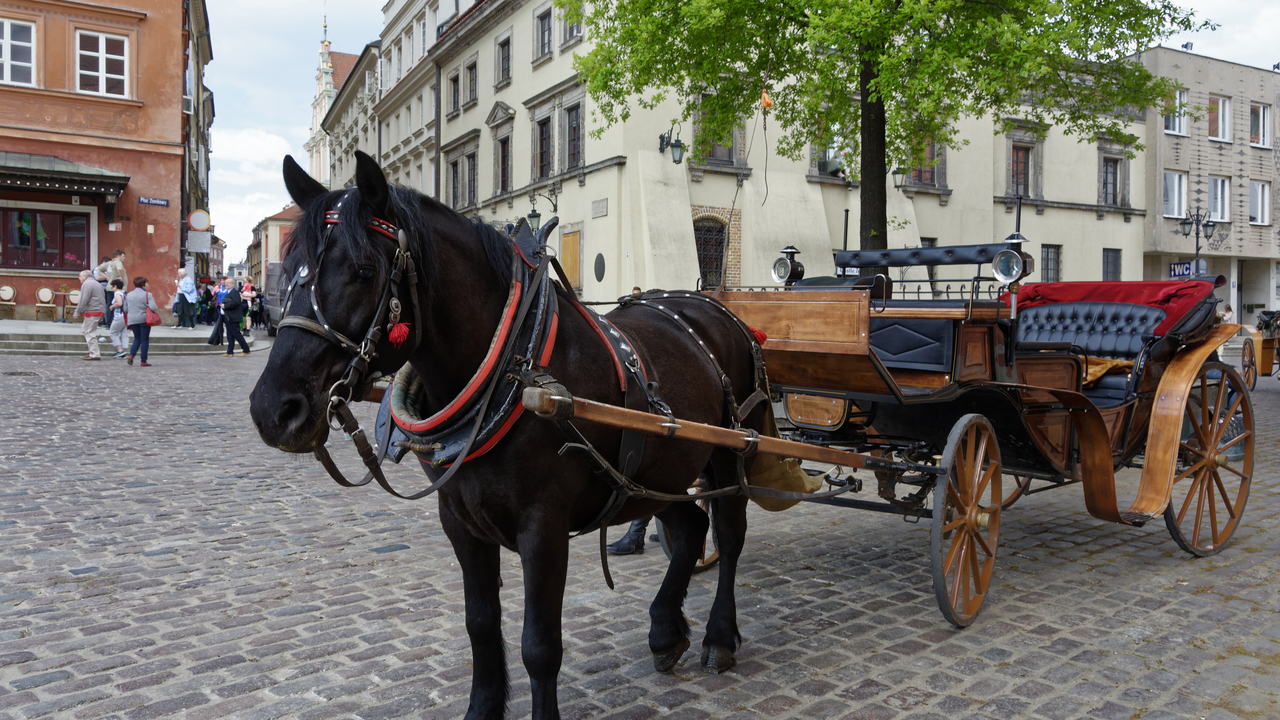 20160509-124510••Warsaw••Poland