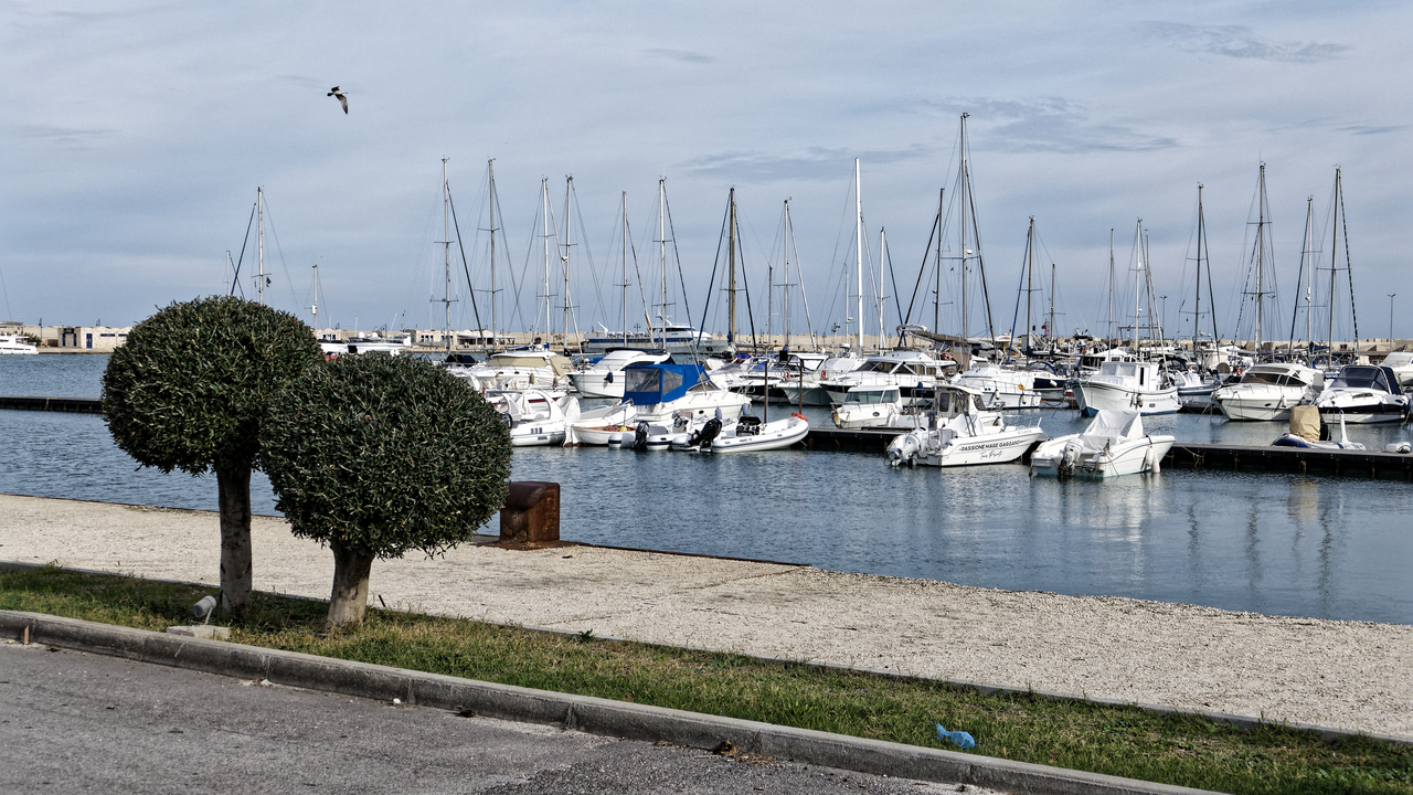 20251021•100550•Vieste•Apulia•IT