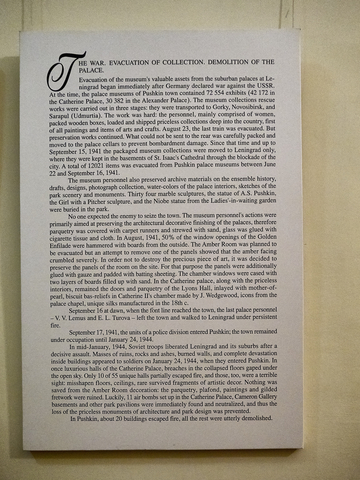 20130602-101942••Shushary•St.Petersburg•Russia