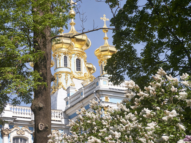 20130602-110626••Shushary•St.Petersburg•Russia