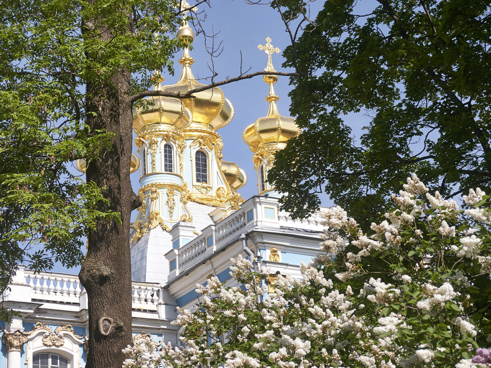 20130602-110626••Shushary•St.Petersburg•Russia