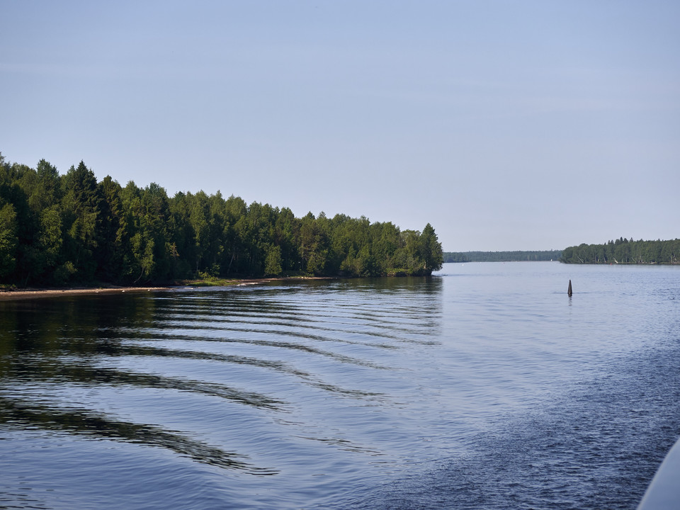 20130604-095546••Vazhiny•Leningrad•Russia