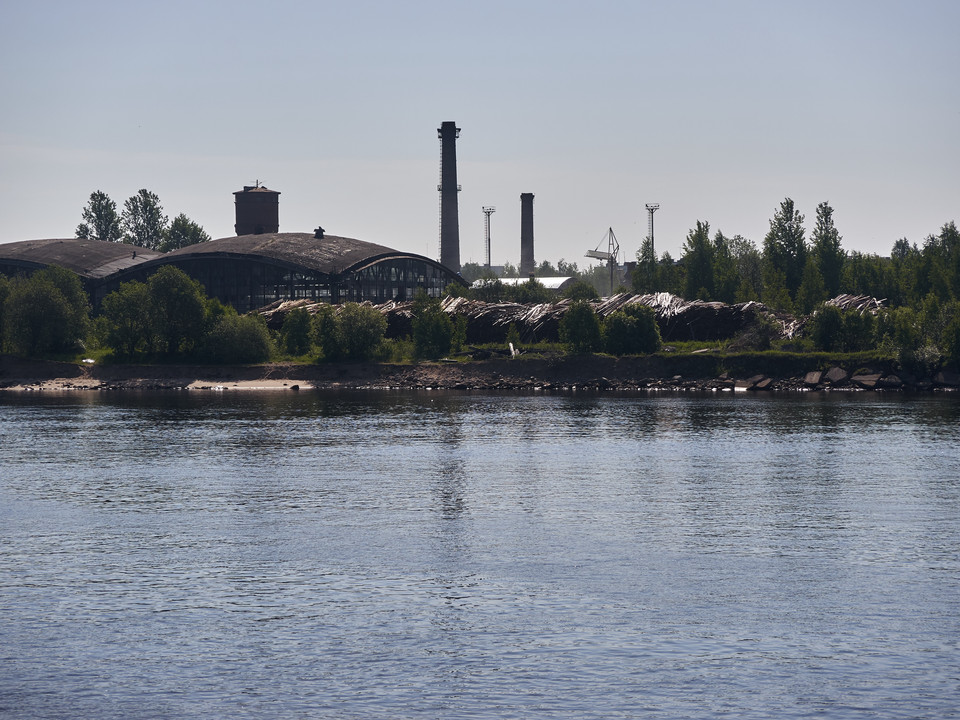 20130604-101354••Vazhiny•Leningrad•Russia